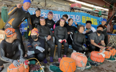 [부산일보] 동의대 한일해녀연구소, 남천 해녀와 동행물질 2차 체험