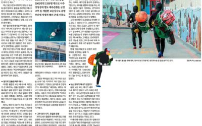 [부산일보] 영도로 진출한 제주해녀와 부산 토박이 해녀